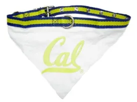 California State Golden Bears Bandana Large